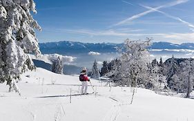 Gite Terrasse Sur Vercors